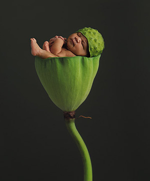 Anne Geddes | Baby plant