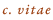 bio