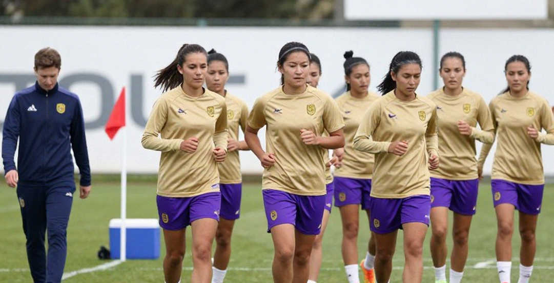 Verdonk không chơi cho Lille: bài báo Indonesia về cầu thủ Việt kiều ở V-League có ba lỗi cần sửa